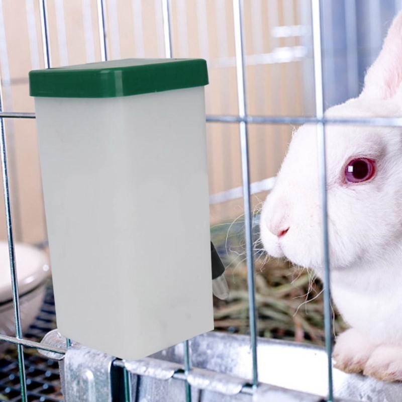 Automatic Pet Feeder - Creative Rabbit Water Dispenser Drinker Feeder