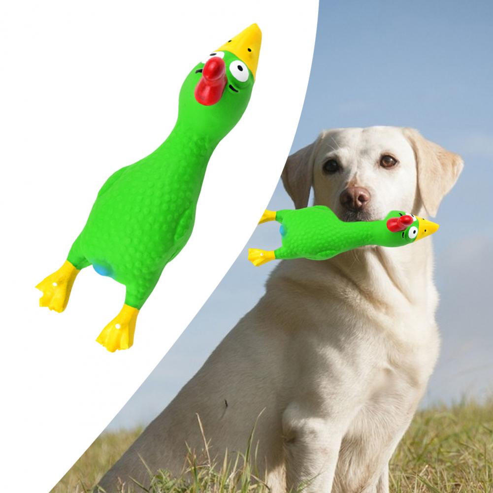 Pet Dental Chew Toy - 17*6.5cm Latex Chicken Dog Toy With