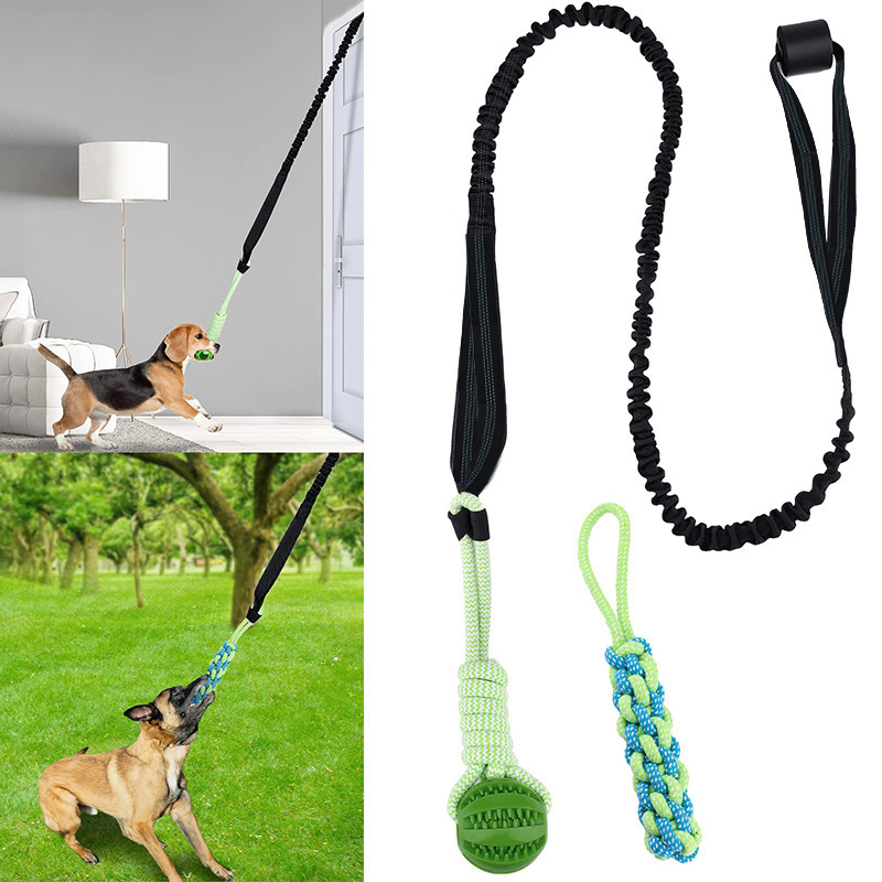 Pet Dental Chew Toy - Interactive Dog Toy Tug-Of-War, Dog Spring