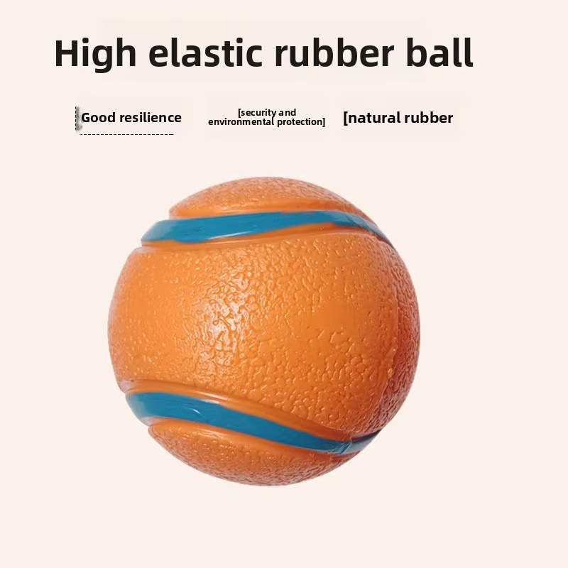 Elastic Indestructible Dog Squ - Pet Dental Chew Toy 리뷰 및 가격