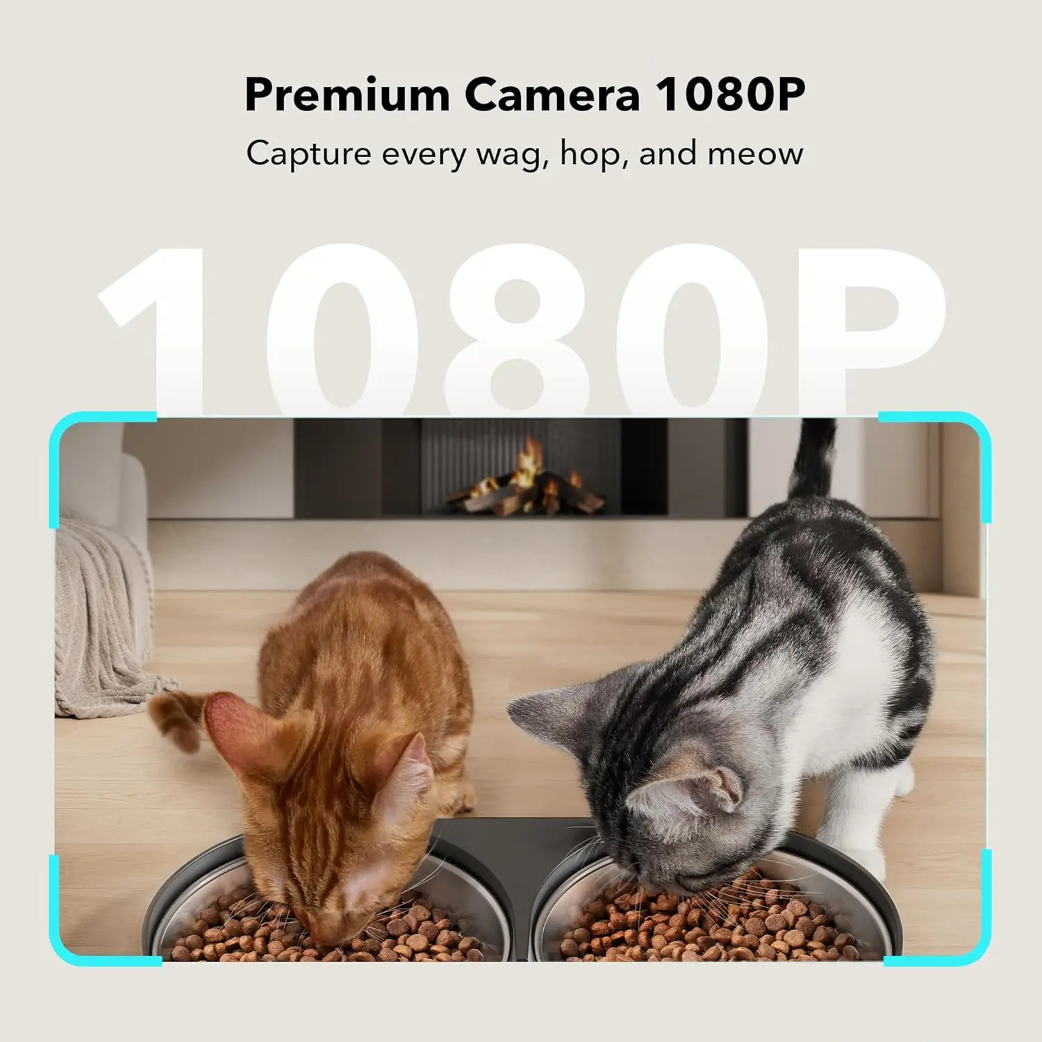 Automatic Cat Feeder with Came - Automatic Pet Feeder 리뷰 및 가격