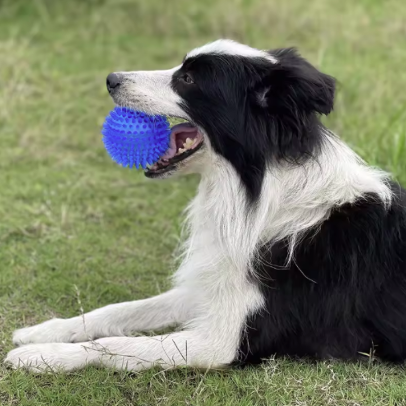 Pet Toy Ball for Cats And Dogs - Pet Dental Chew Toy 리뷰 및 가격