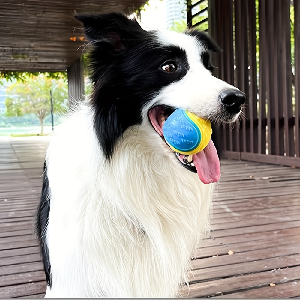1pc Dog Toy Durable Crew Ball  - Pet Dental Chew Toy 리뷰 및 가격