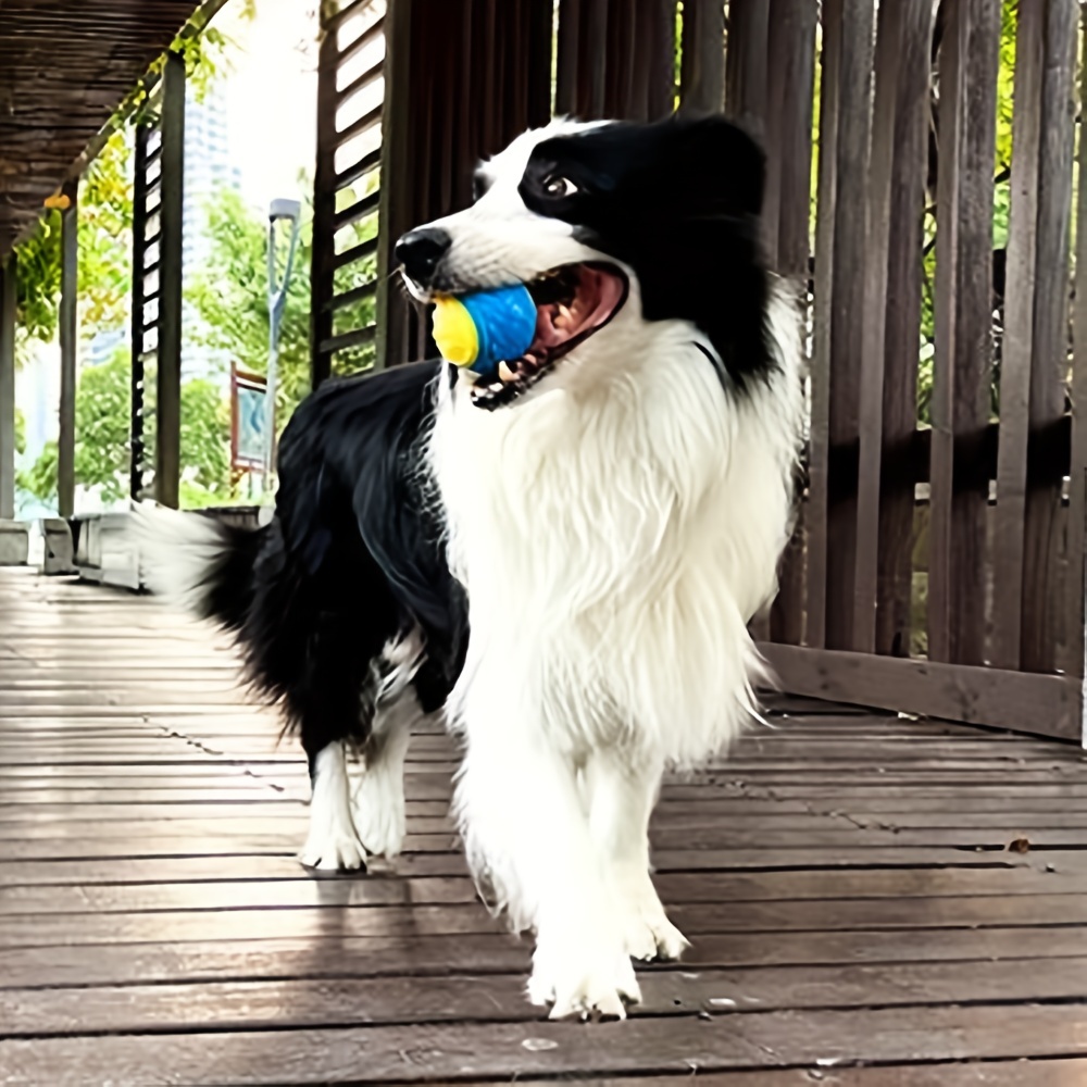 1pc Dog Toy Durable Crew Ball  - Pet Dental Chew Toy 리뷰 및 가격