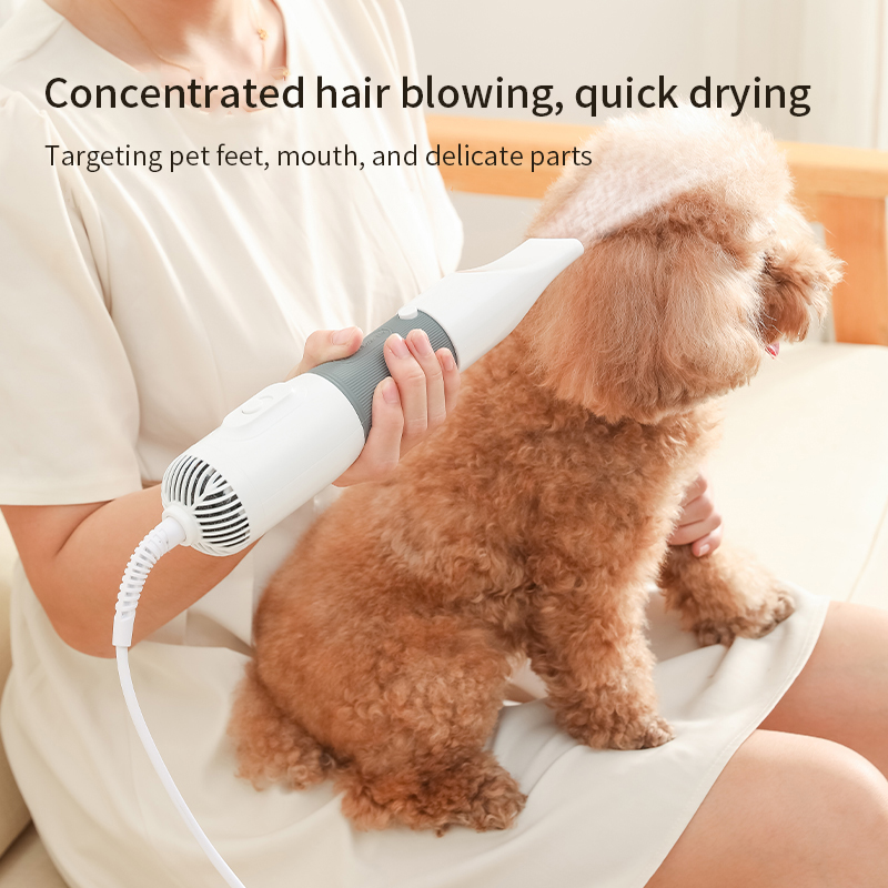 3 in1 Pet Dog Dryer Quiet Dog  - Pet Supplies Dropshipping 리뷰 및 가격