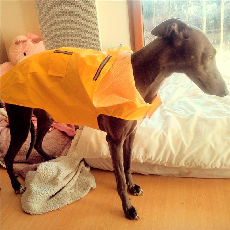 Dog Raincoat Waterproof Hoodie - Dog Raincoat 리뷰 및 가격