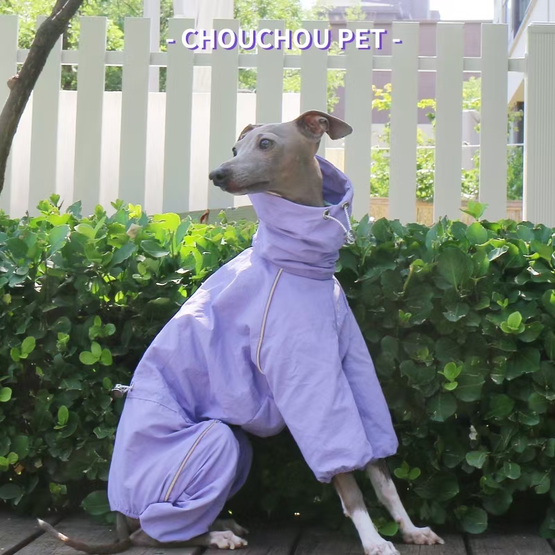 Italian Greyhound Raincoat Aut - Dog Raincoat 리뷰 및 가격