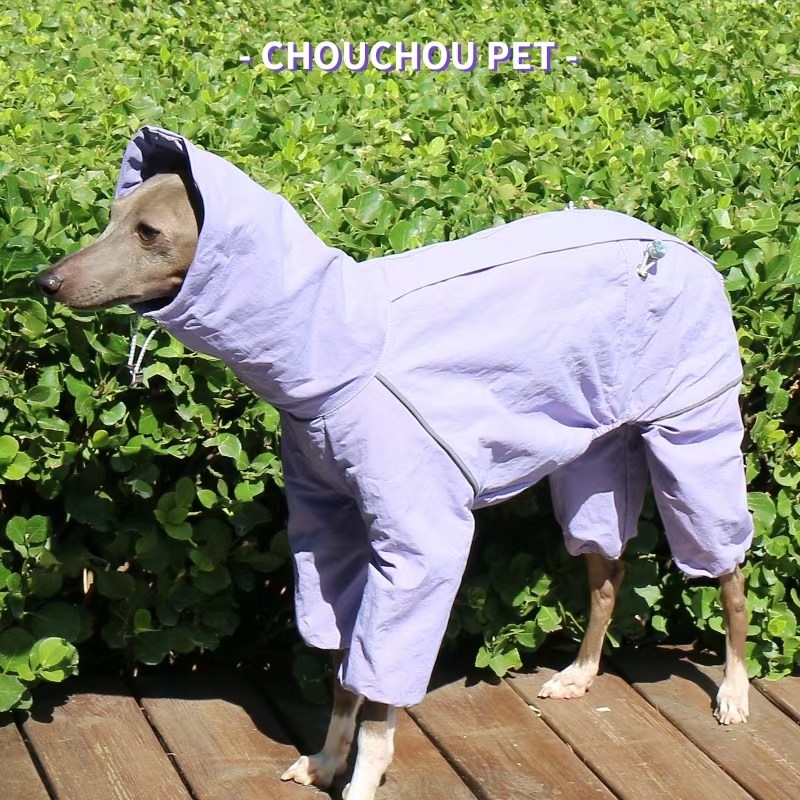 Italian Greyhound Raincoat Aut - Dog Raincoat 리뷰 및 가격