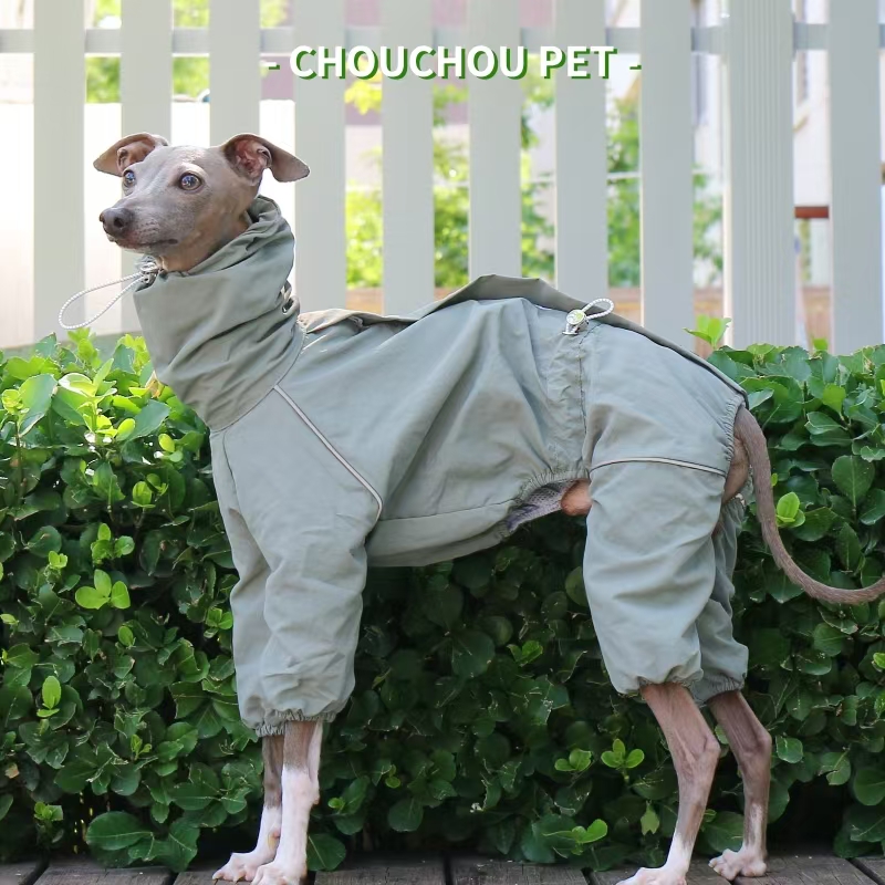 Italian Greyhound Raincoat Aut - Dog Raincoat 리뷰 및 가격