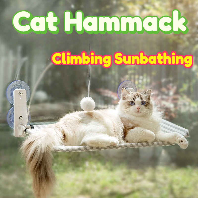 Cat Hammock Window Hanging Per - Cat Window Perch 리뷰 및 가격