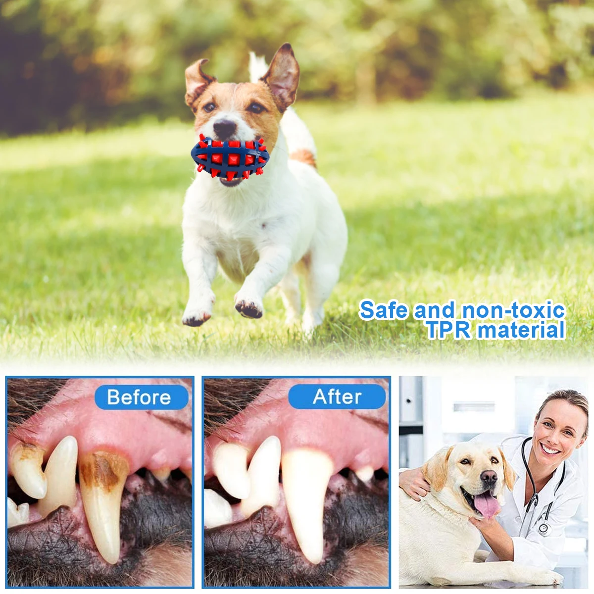 1/2Pcs Squeaky Dog Chew Toys I - Pet Dental Chew Toy 리뷰 및 가격