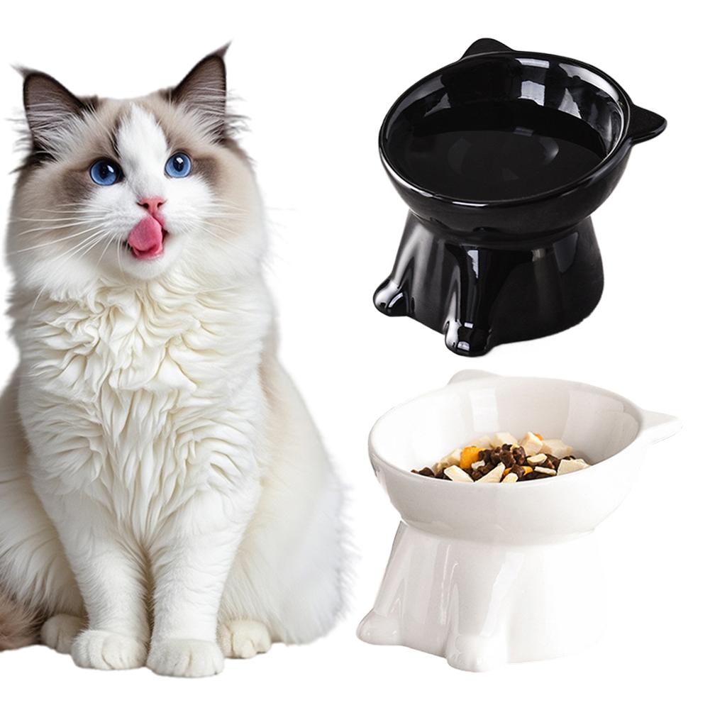 Black Cat Bowl Amazon Plastic  - Pet Supplies Amazon 리뷰 및 가격