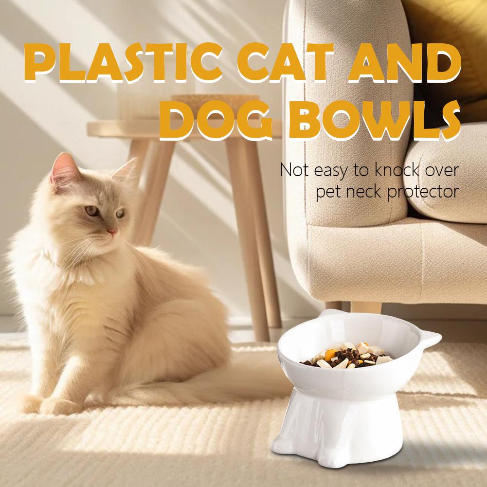Black Cat Bowl Amazon Plastic  - Pet Supplies Amazon 리뷰 및 가격