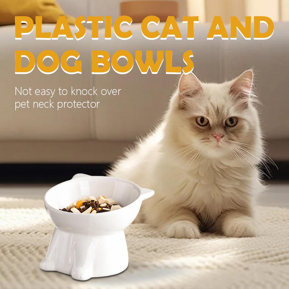 Black Cat Bowl Amazon Plastic  - Pet Supplies Amazon 리뷰 및 가격