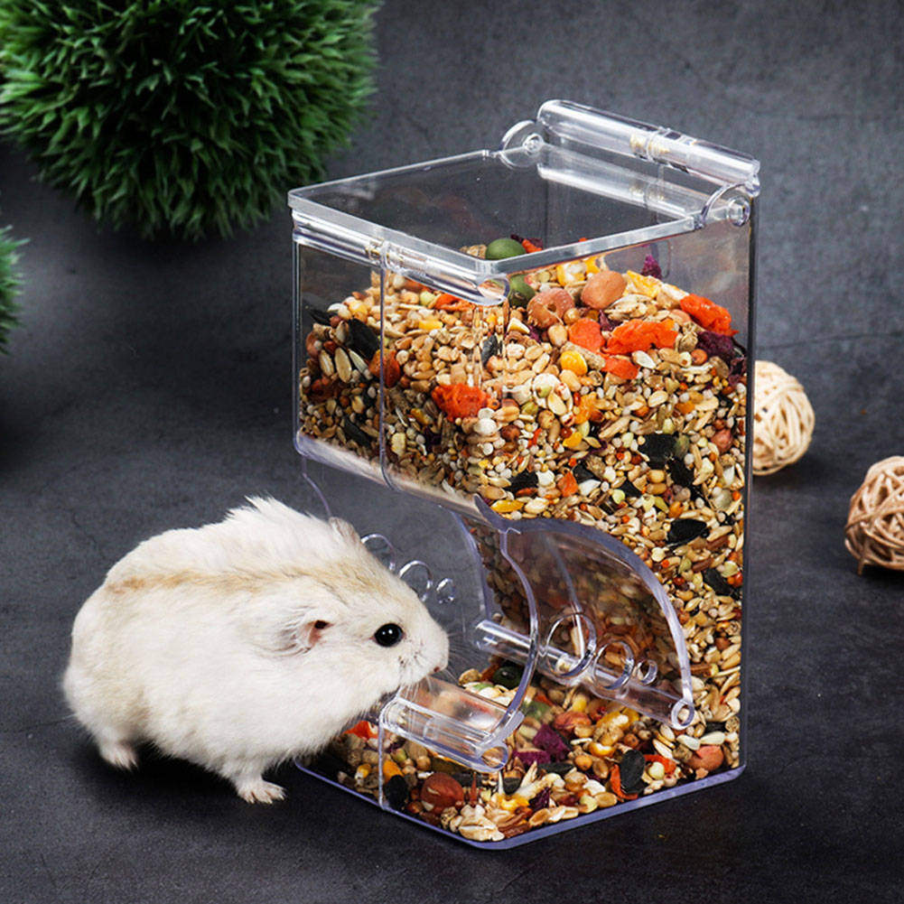  2-1PCS Cute Hamster Samll An - Automatic Pet Feeder 리뷰 및 가격
