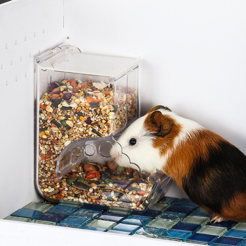  2-1PCS Cute Hamster Samll An - Automatic Pet Feeder 리뷰 및 가격