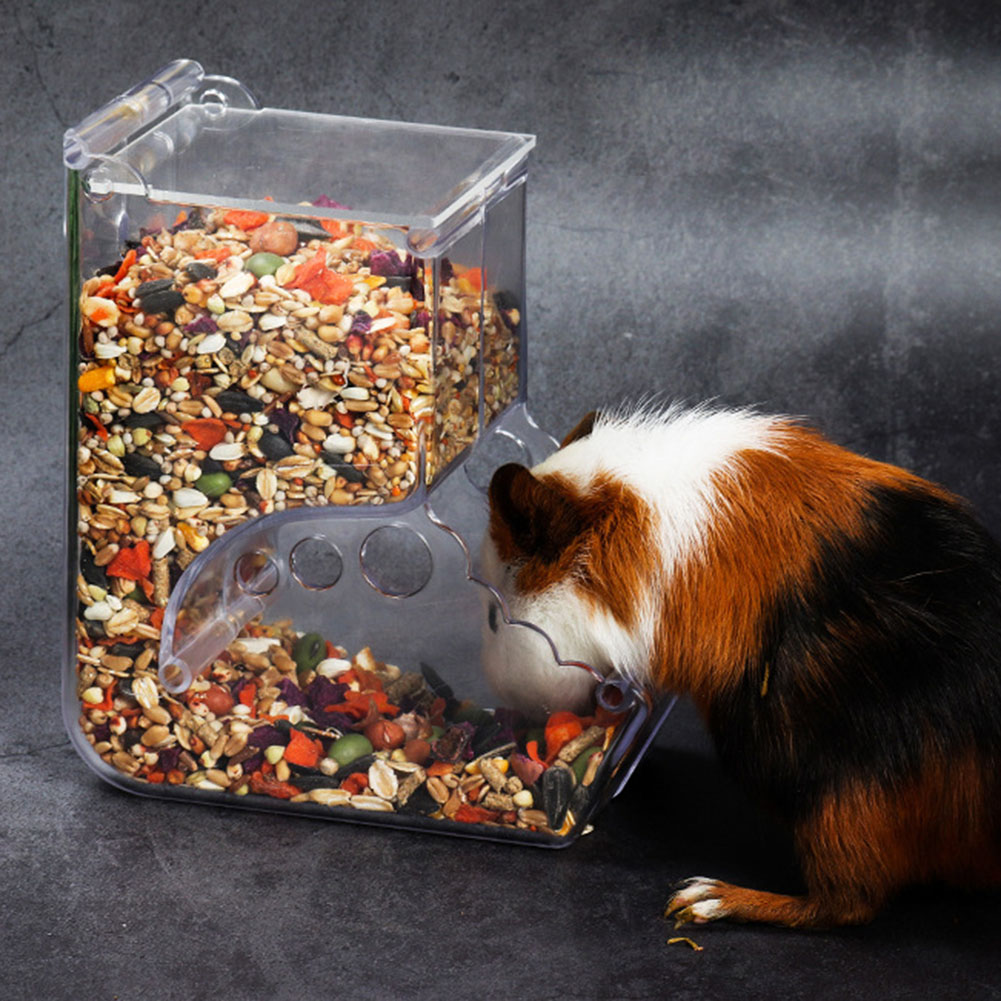  2-1PCS Cute Hamster Samll An - Automatic Pet Feeder 리뷰 및 가격