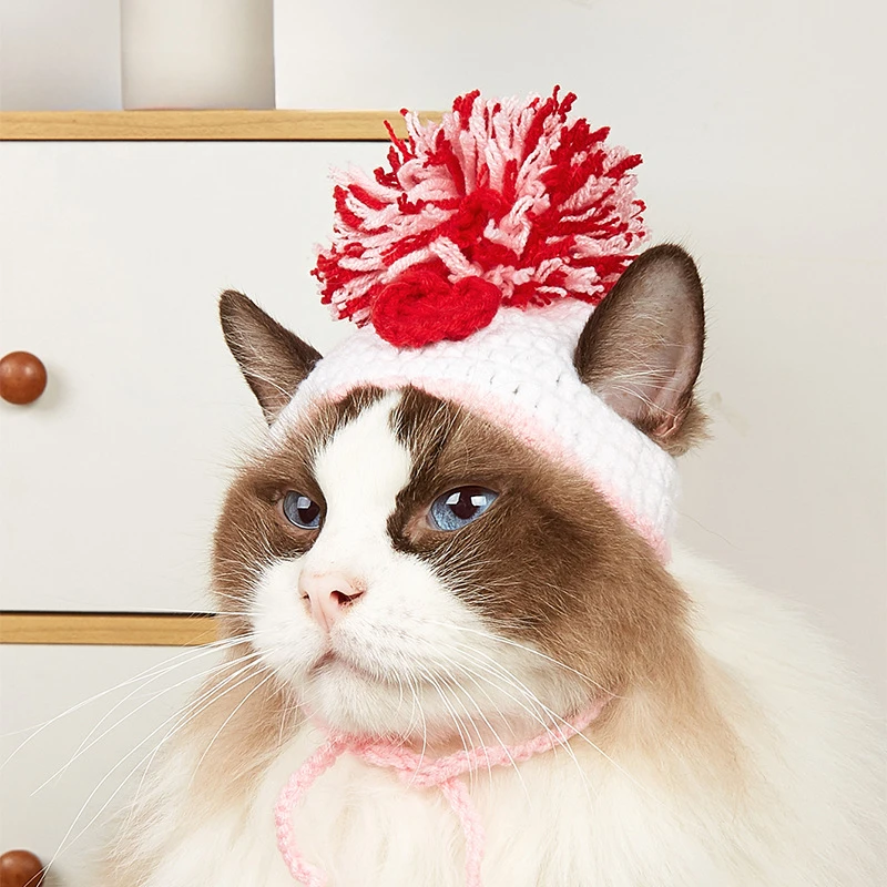 Factory direct sales pet knitt - Pet Supplies Amazon 리뷰 및 가격