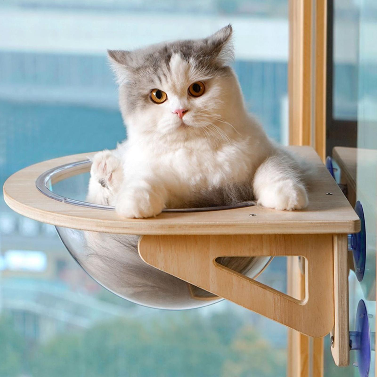 Cat Window Perch Hammock with  - Cat Window Perch 리뷰 및 가격