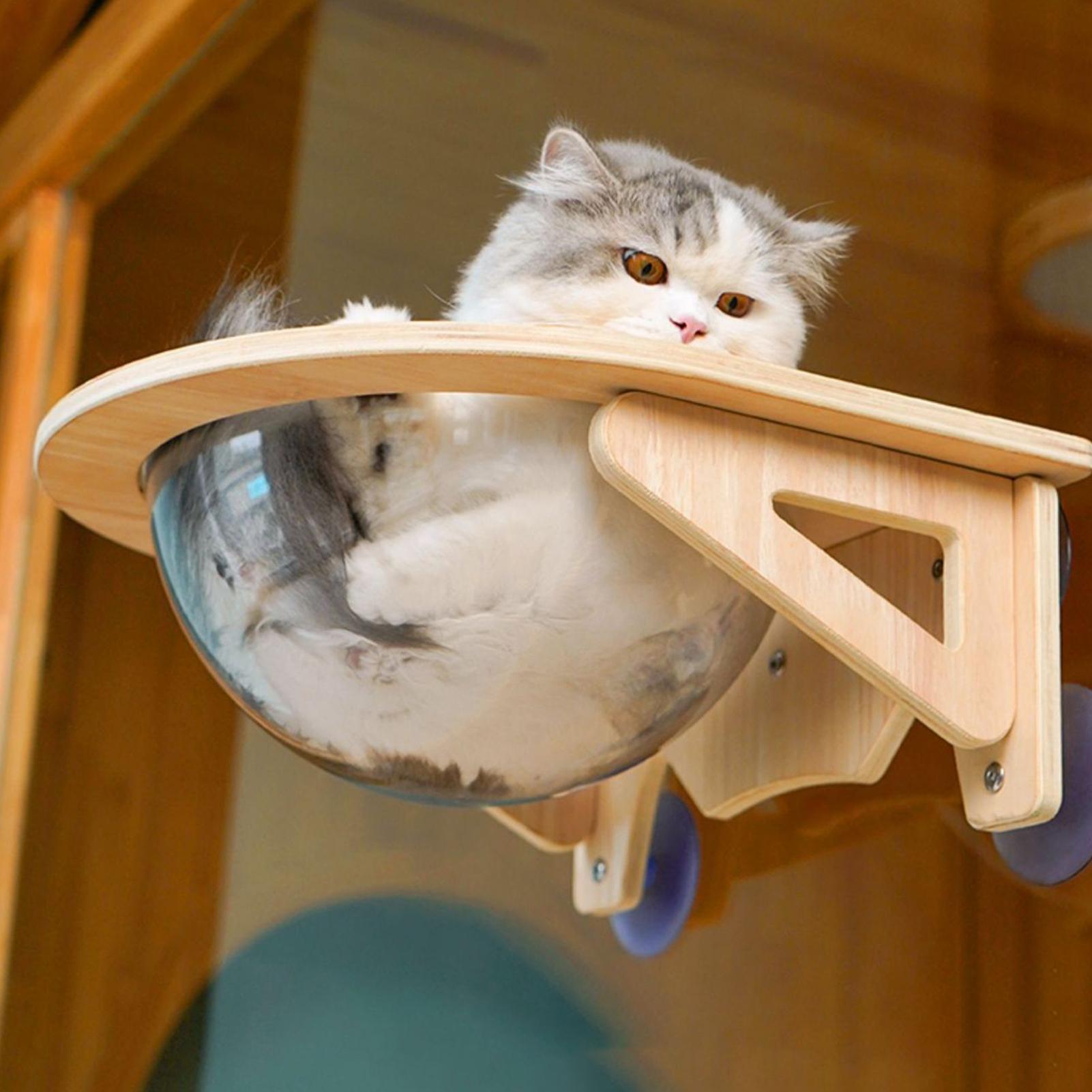 Cat Window Perch Hammock with  - Cat Window Perch 리뷰 및 가격