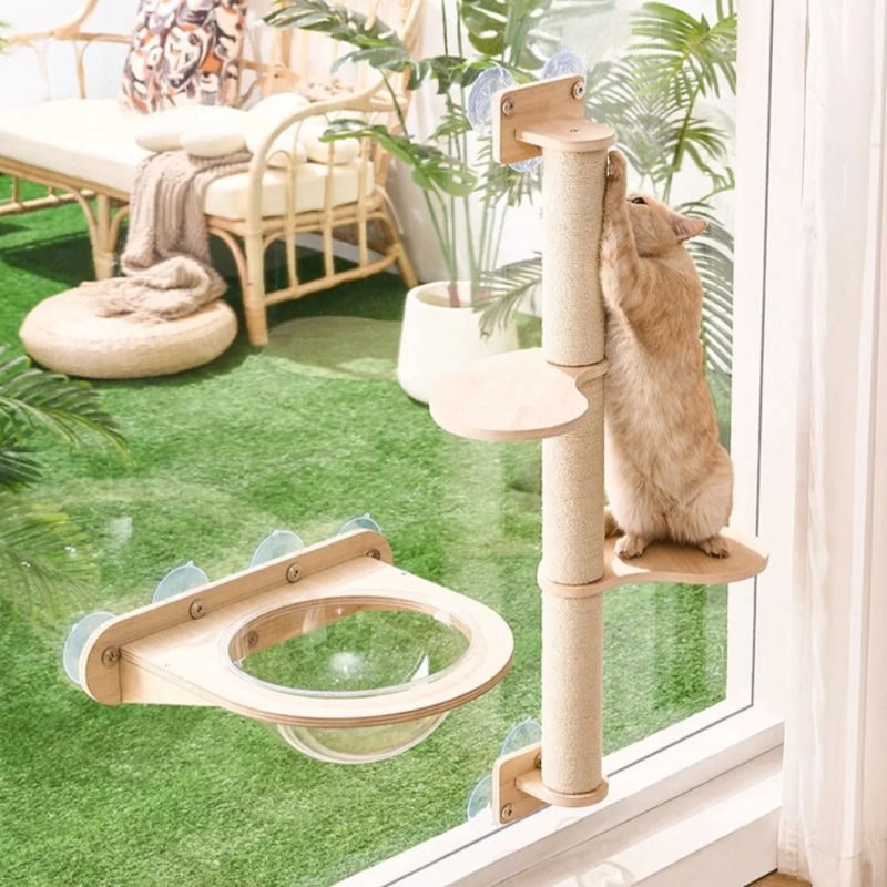 Cat Window Perch with Wooden F - Cat Window Perch 리뷰 및 가격