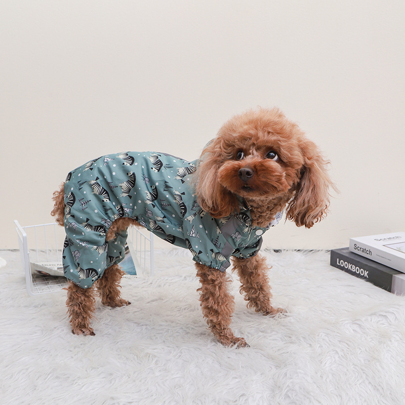 Cartoon Print Chihuahua Rainco - Dog Raincoat 리뷰 및 가격