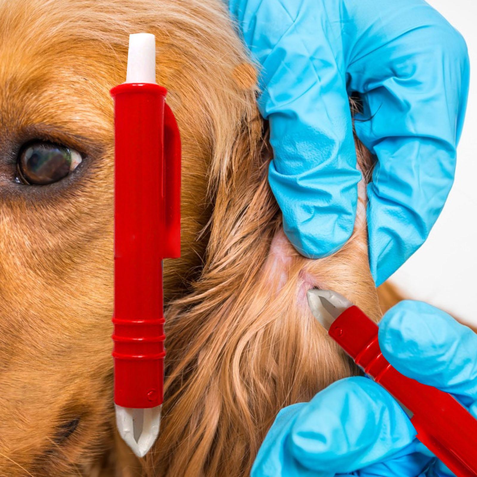 Flea Remover Hook Tick Remover - Pet Supplies Dropshipping 리뷰 및 가격