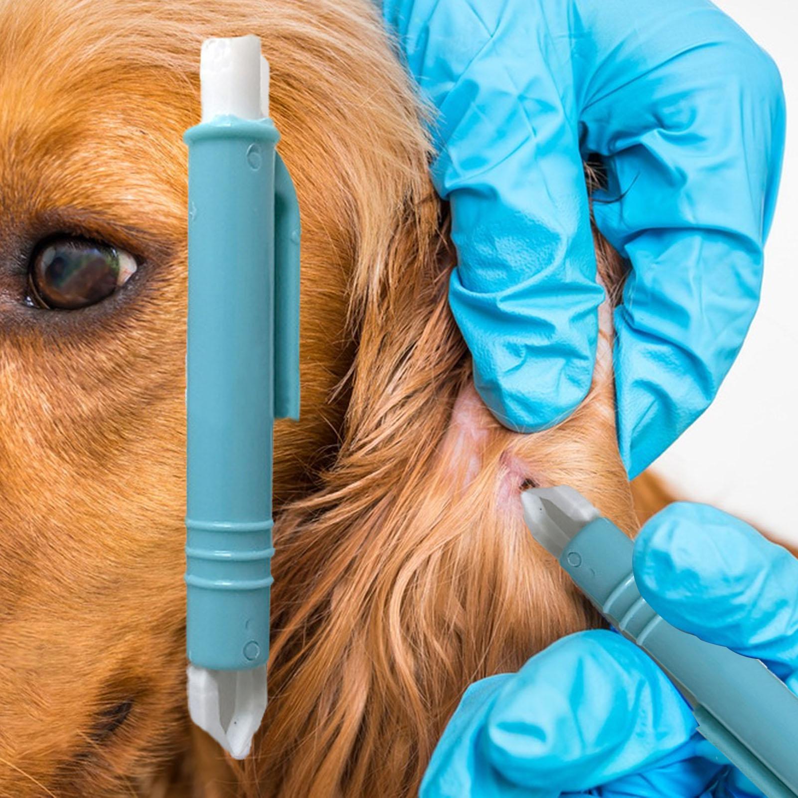 Flea Remover Hook Tick Remover - Pet Supplies Dropshipping 리뷰 및 가격