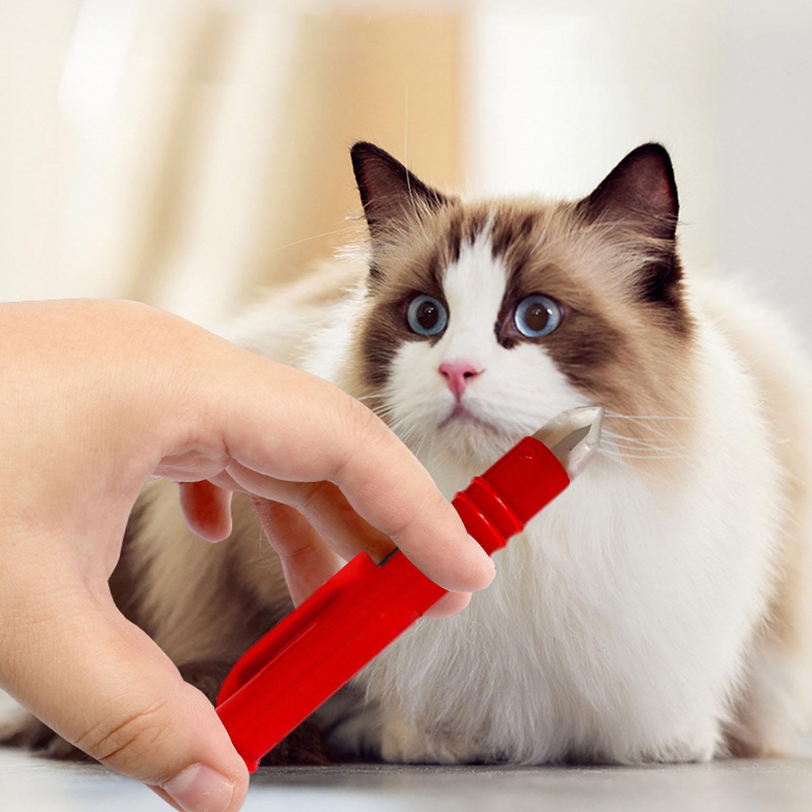 Flea Remover Hook Tick Remover - Pet Supplies Dropshipping 리뷰 및 가격