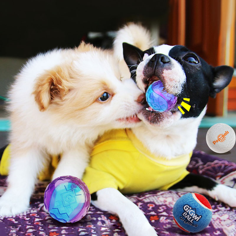 Pet Dog Puppy Squeaky Chew Toy - Pet Dental Chew Toy 리뷰 및 가격