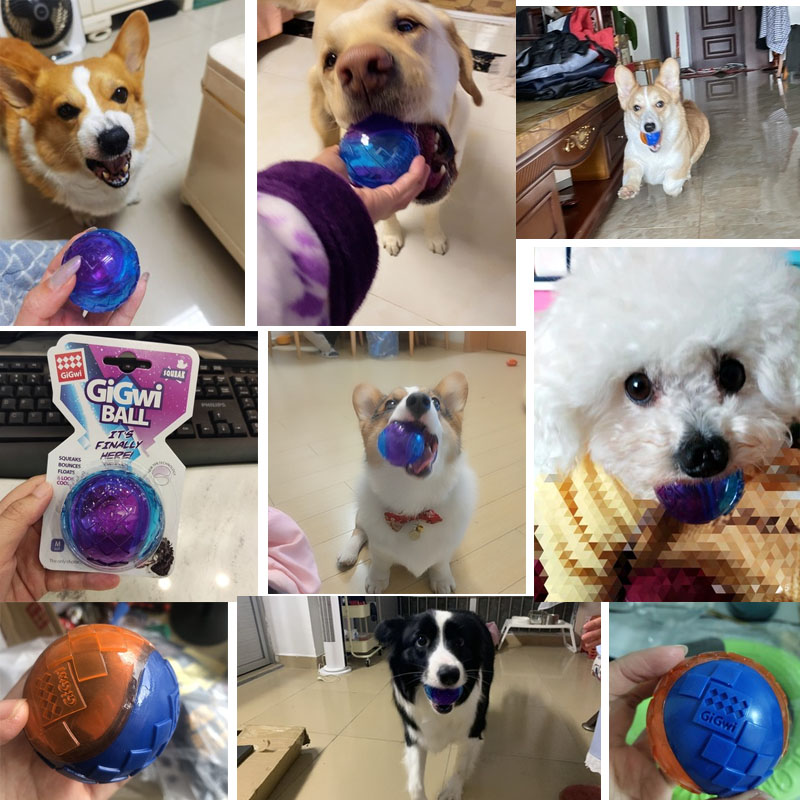 Pet Dog Puppy Squeaky Chew Toy - Pet Dental Chew Toy 리뷰 및 가격