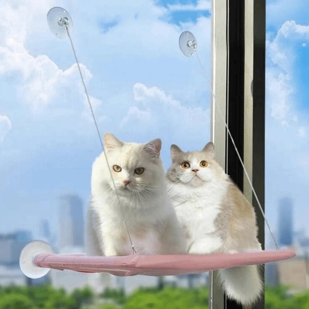 Pet Nest Creative Cat Hanging  - Cat Window Perch 리뷰 및 가격
