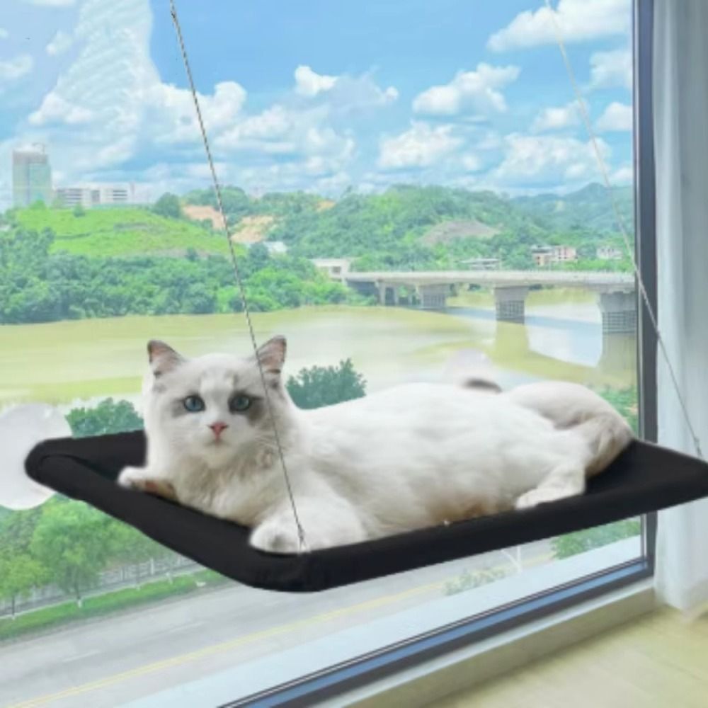 Pet Nest Creative Cat Hanging  - Cat Window Perch 리뷰 및 가격
