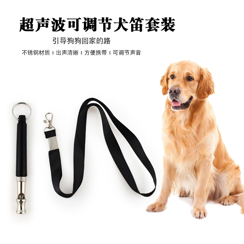 Amazon directly supplies pet t - Pet Supplies Amazon 리뷰 및 가격