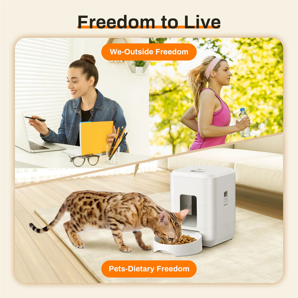 New Automatic Pet Feeder WiFi  - Pet Supplies Distributor 리뷰 및 가격