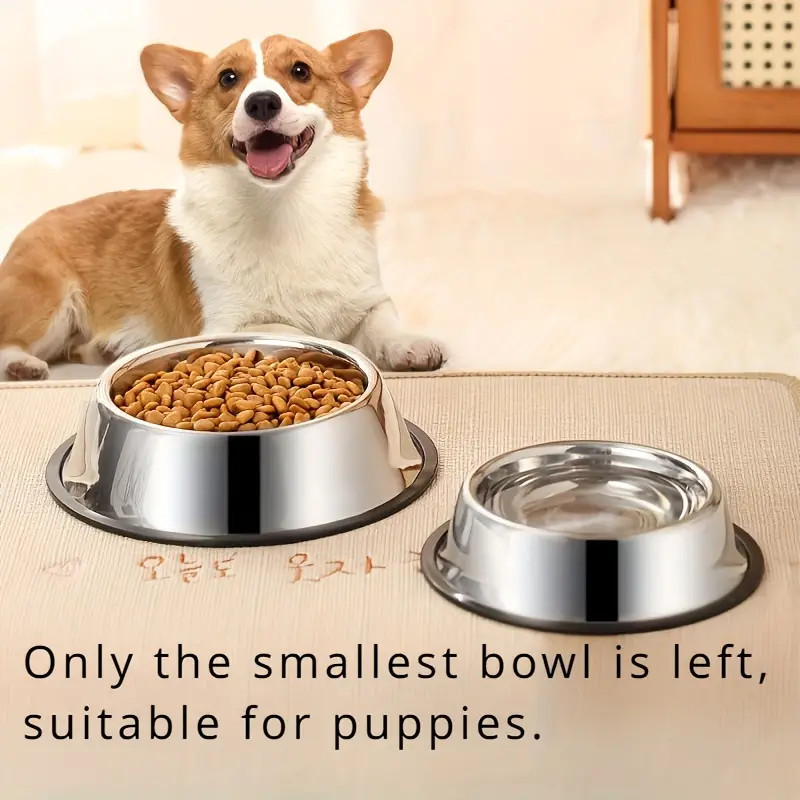 Non-slip Stainless Steel Dog B - Pet Supplies Dropshipping 리뷰 및 가격