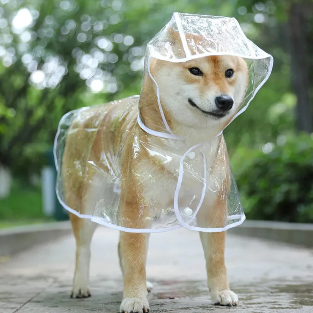 Dog Raincoat Puppy Transparent - Dog Raincoat 리뷰 및 가격