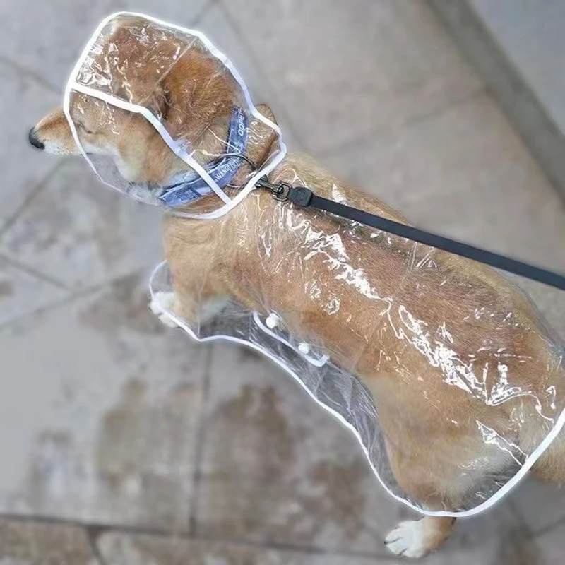 Dog Raincoat Puppy Transparent - Dog Raincoat 리뷰 및 가격