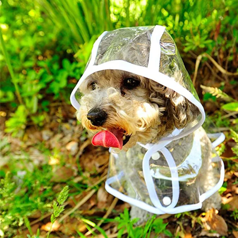 Dog Raincoat Puppy Transparent - Dog Raincoat 리뷰 및 가격