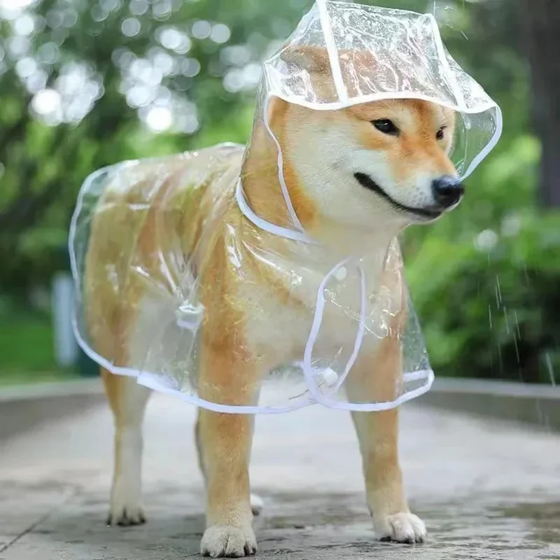 Dog Raincoat Puppy Transparent - Dog Raincoat 리뷰 및 가격