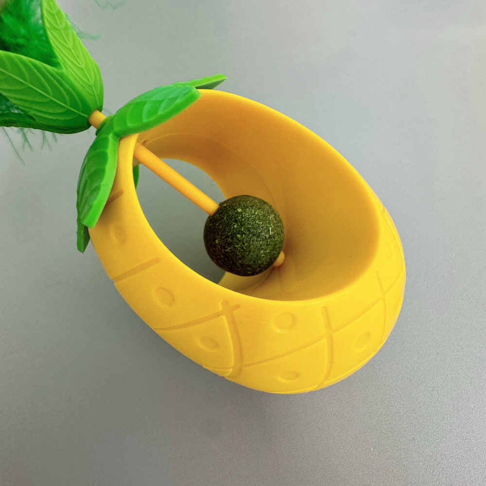 New Hot Cat Toys Amazon Mint B - Pet Supplies Amazon 리뷰 및 가격