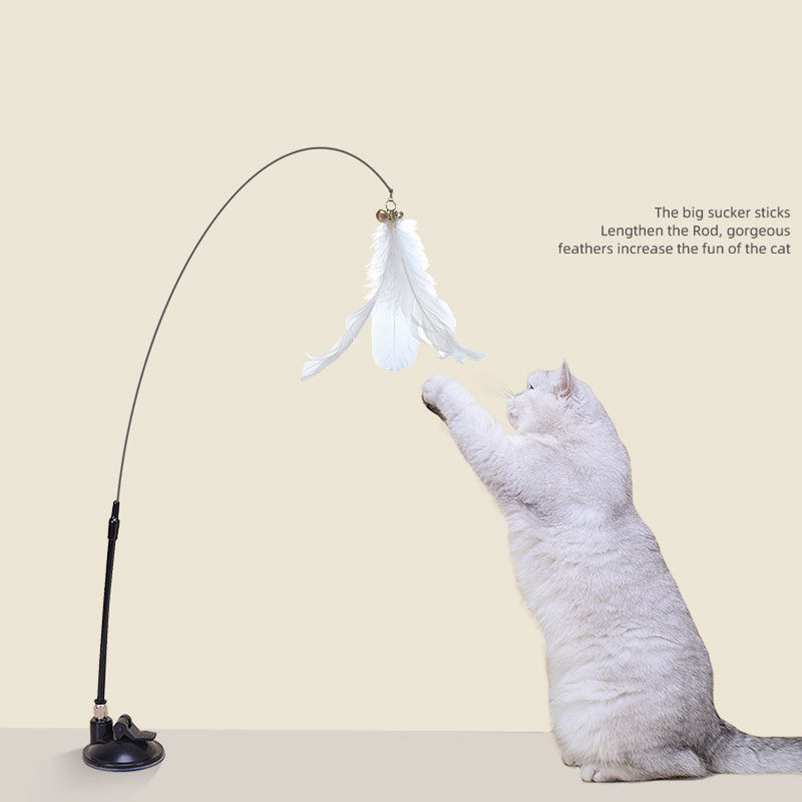 New powerful suction cat-teasi - Pet Supplies Amazon 리뷰 및 가격