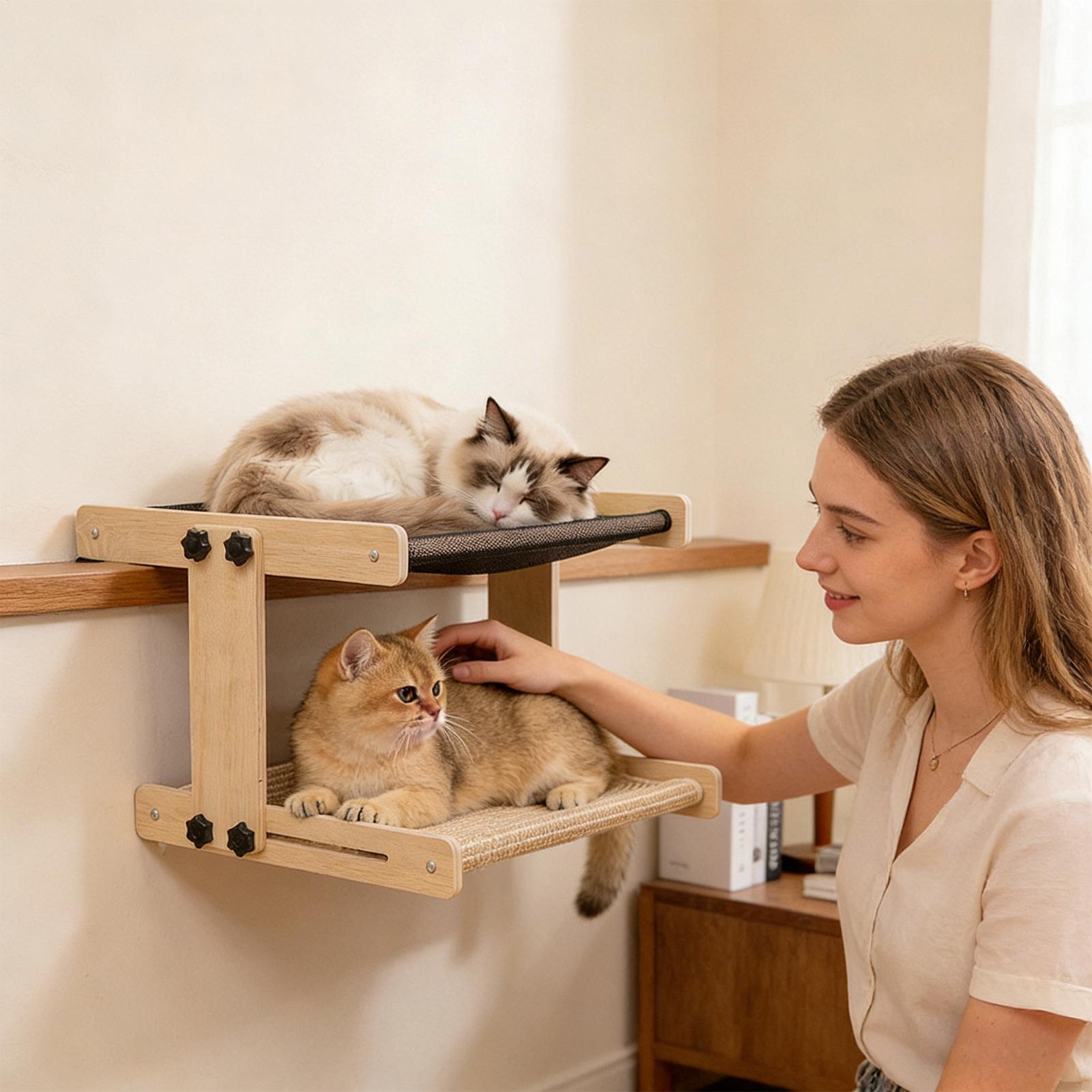 Cat Window Bed Floating Hammoc - Cat Window Perch 리뷰 및 가격