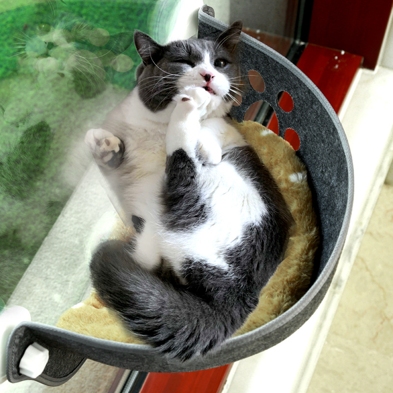 Cat Window bed Mounted Pot Bed - Cat Window Perch 리뷰 및 가격