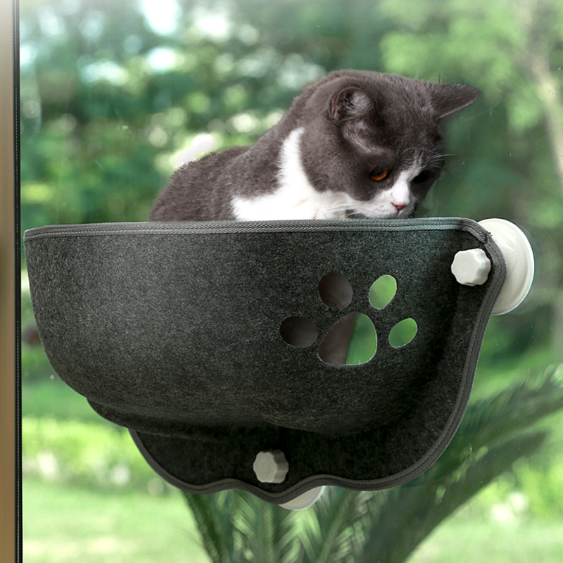 Cat Window bed Mounted Pot Bed - Cat Window Perch 리뷰 및 가격