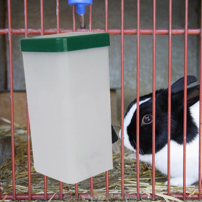Creative Rabbit Water Dispense - Automatic Pet Feeder 리뷰 및 가격