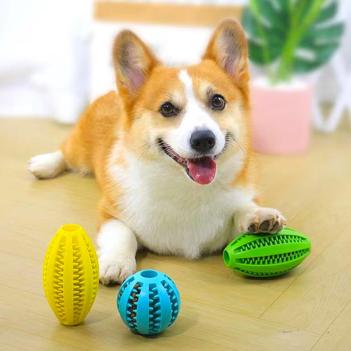 Pet Dog Chew Toys Teeth Cleani - Pet Dental Chew Toy 리뷰 및 가격