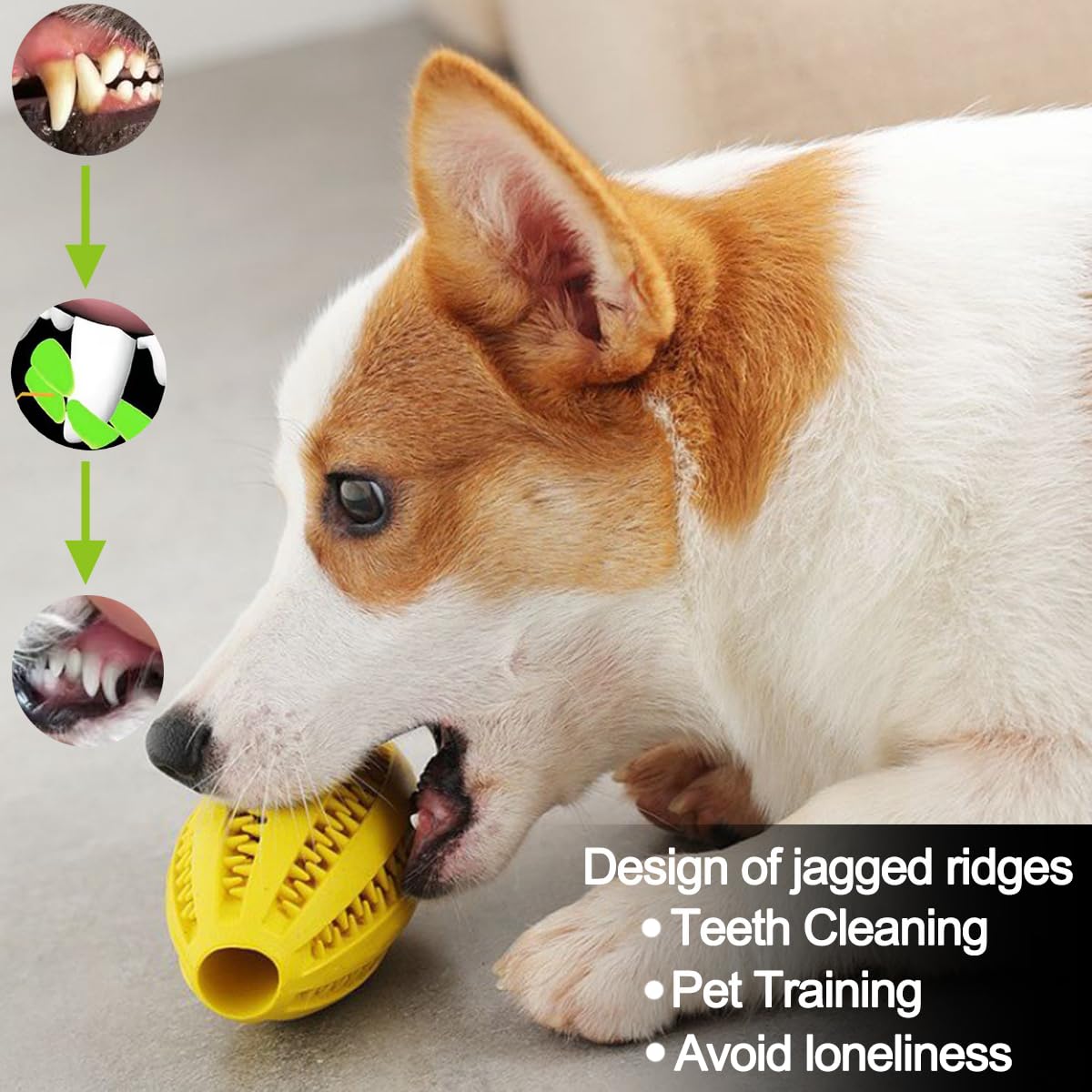 Pet Dog Chew Toys Teeth Cleani - Pet Dental Chew Toy 리뷰 및 가격