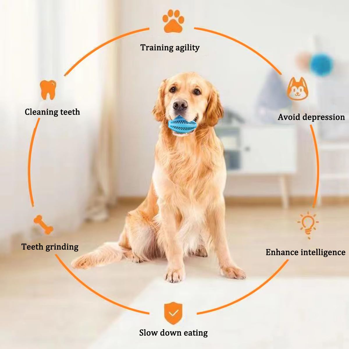 Pet Dog Chew Toys Teeth Cleani - Pet Dental Chew Toy 리뷰 및 가격