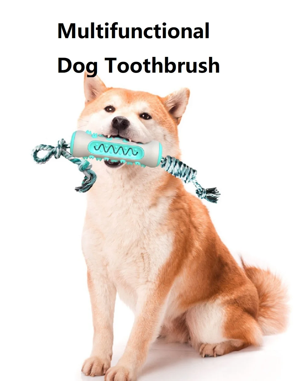 Pet Supplies Amazon Pop Dog To - Pet Supplies Amazon 리뷰 및 가격